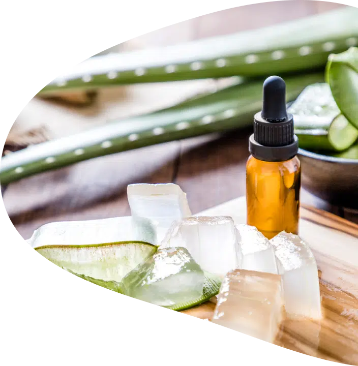 Aloe vera pieces with a serum bottle