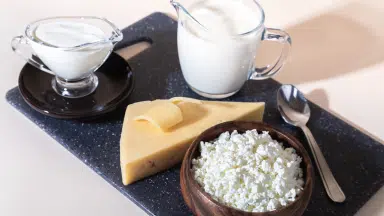 Different dairy sources like cheese, milk, butter, and yogurt