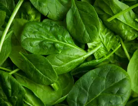 spinach